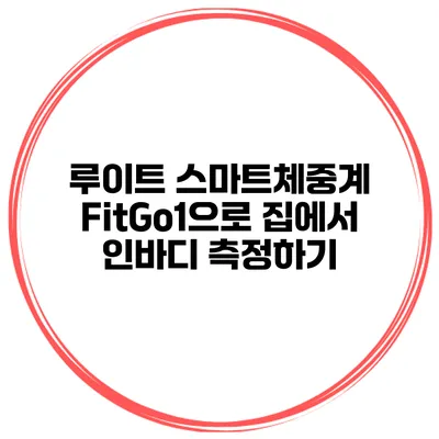루이트 스마트체중계 FitGo1으로 집에서 인바디 측정하기