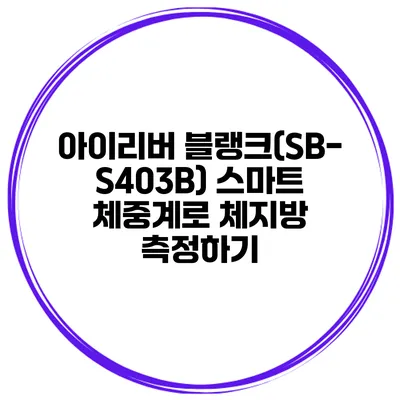 아이리버 블랭크(SB-S403B) 스마트 체중계로 체지방 측정하기